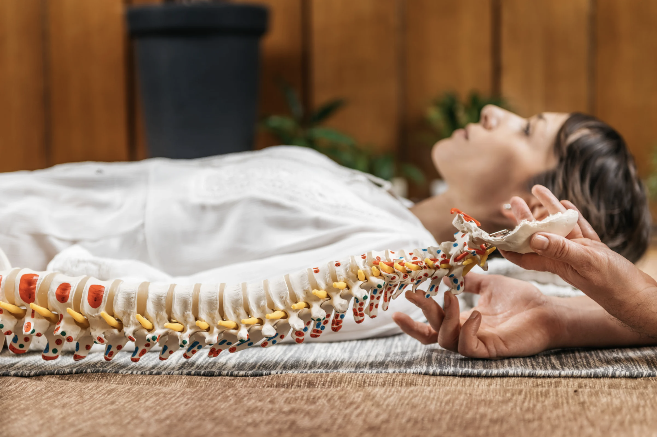 Spine 2