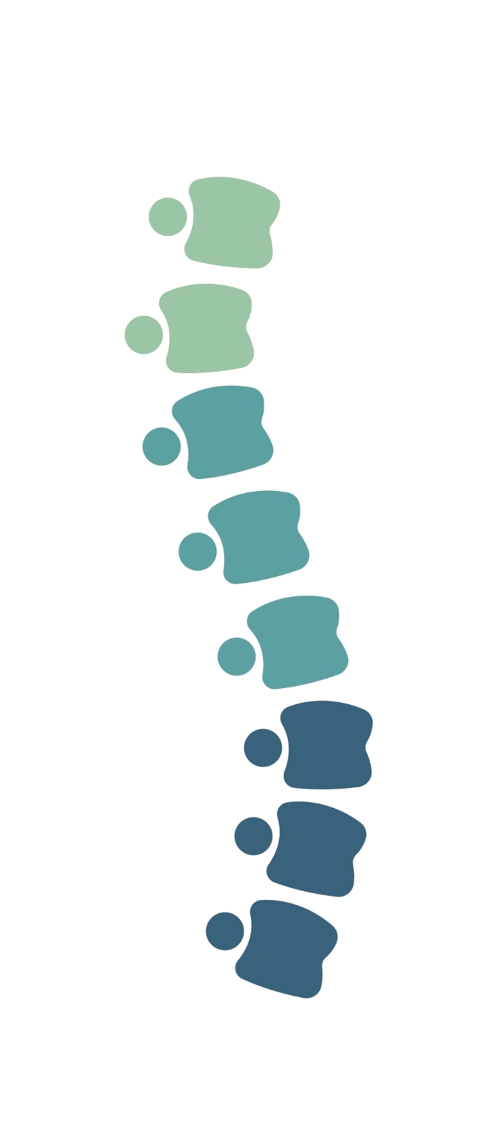 Spine 3