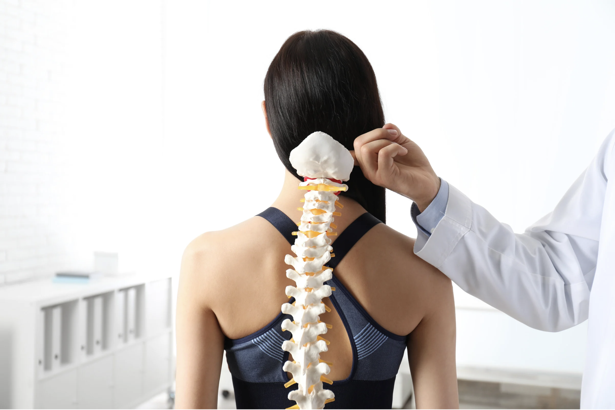 Spine